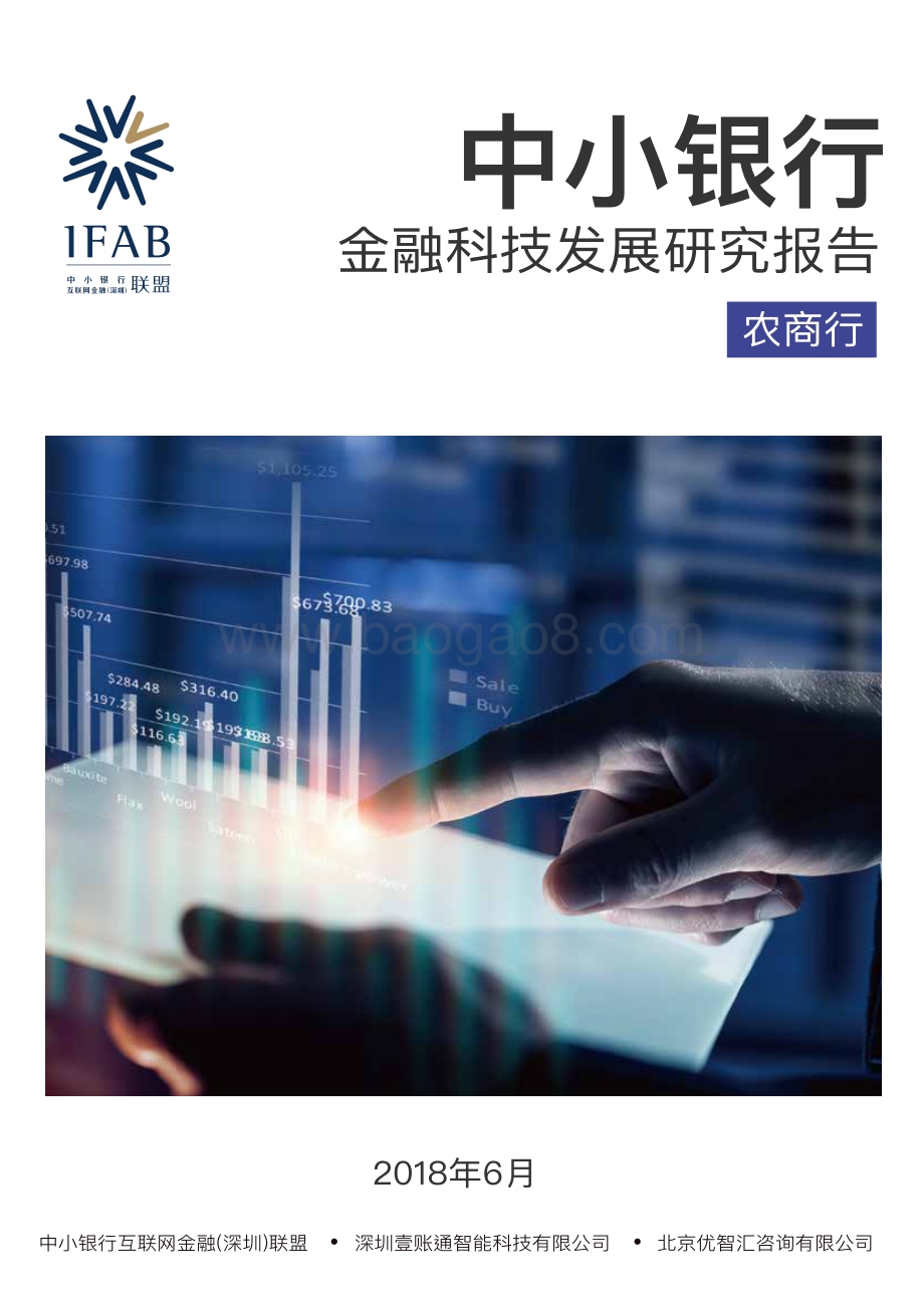2018中小银行金融科技发展研究报告：农商行.pdf_第1页
