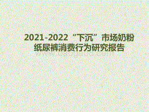 2021-2022“下沉”市场奶粉纸尿裤消费行为研究报告.pptx