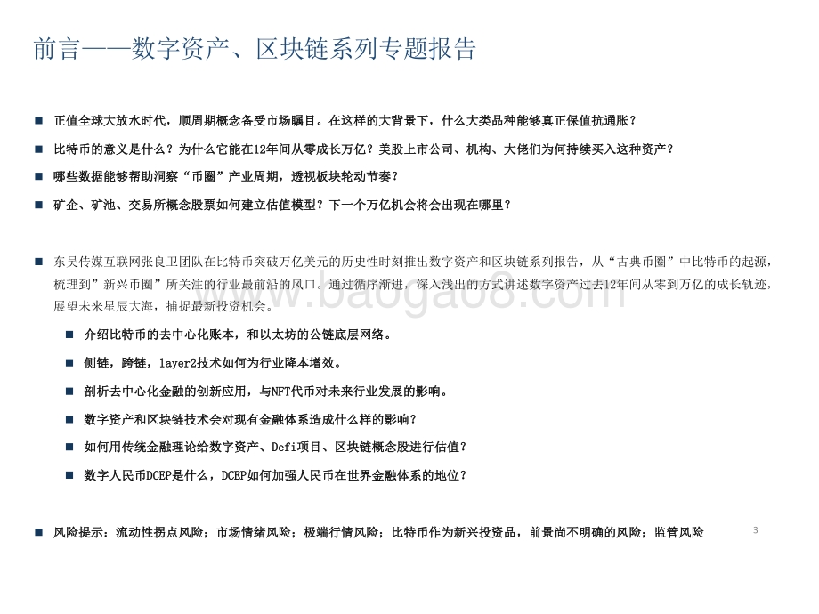 2021数字资产、区块链比特币发展分析报告.pdf_第3页