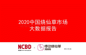 2020中国烧仙草市场大数据报告.pdf