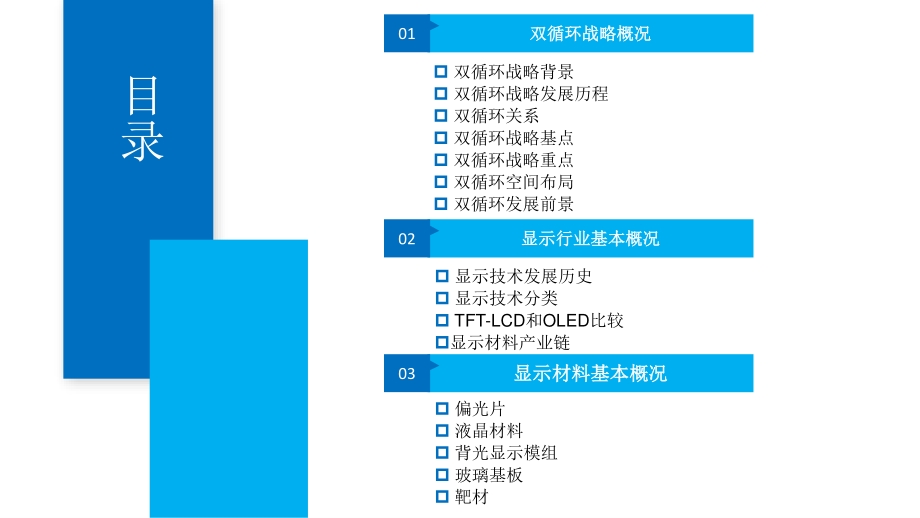 2021年中国显示材料行业发展机遇及投资前景研究报告.pdf_第3页