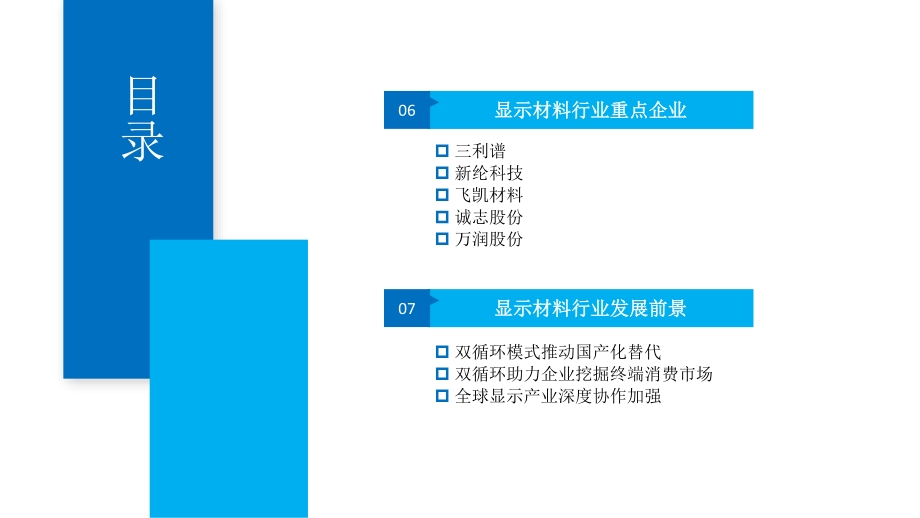 2021年中国显示材料行业发展机遇及投资前景研究报告.pdf_第5页