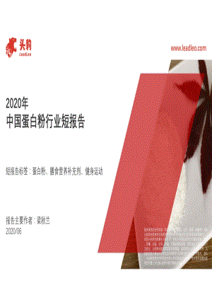 2020年中国蛋白粉行业短报告.pdf