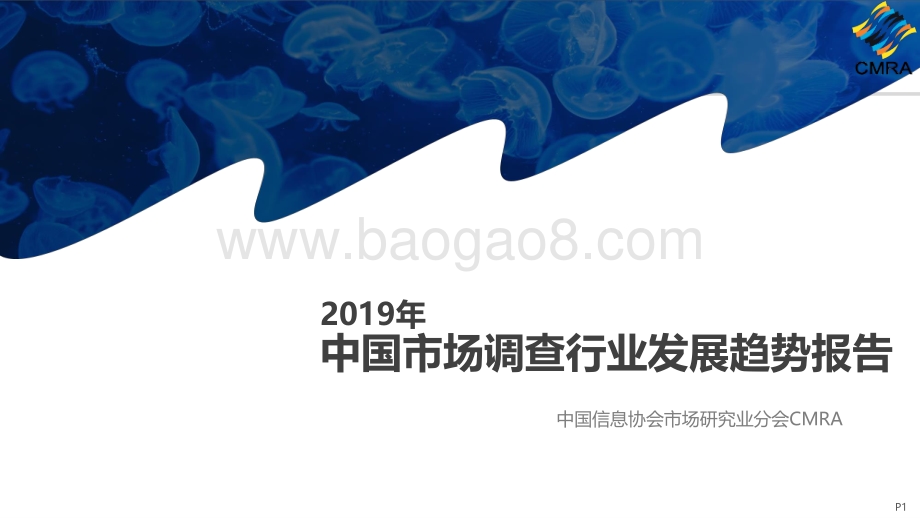 2019年中国市场调查行业发展趋势报告.pdf_第1页