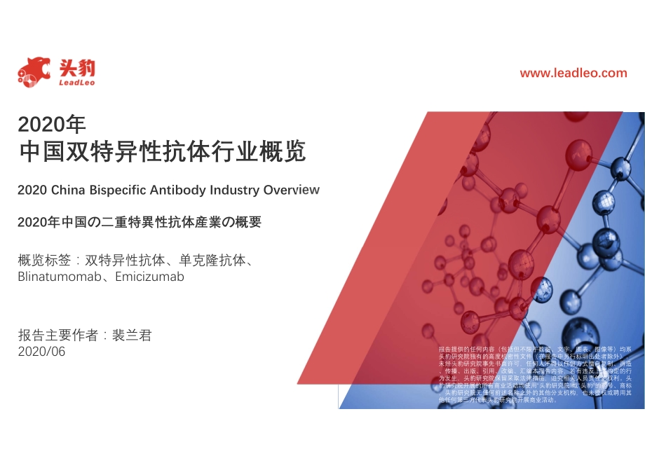 2020年中国双特异性抗体行业概览.pdf_第1页