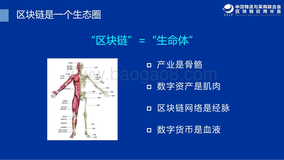 中国物流与供应链区块链发展现状与未来趋势.pdf_第3页