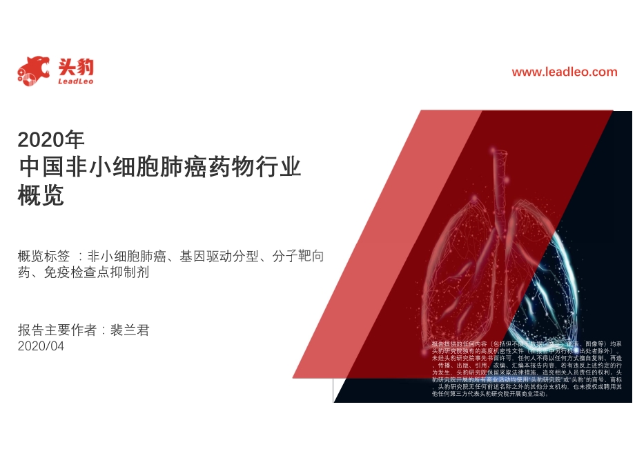 2020年中国非小细胞肺癌药物行业概览.pdf_第1页