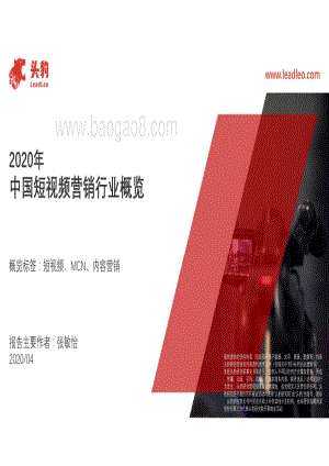 2020年中国短视频营销行业概览.pdf