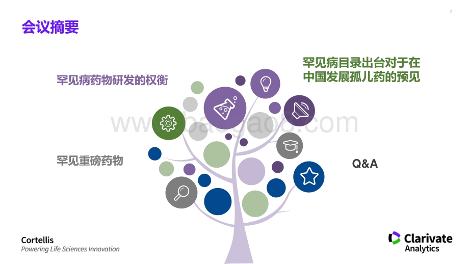 罕见病药物的机会与挑战.pdf_第2页
