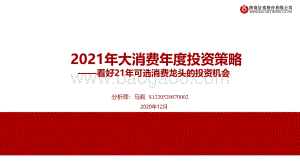 2021年大消费年度投资策略：看好21年可选消费龙头的投资机会.pdf