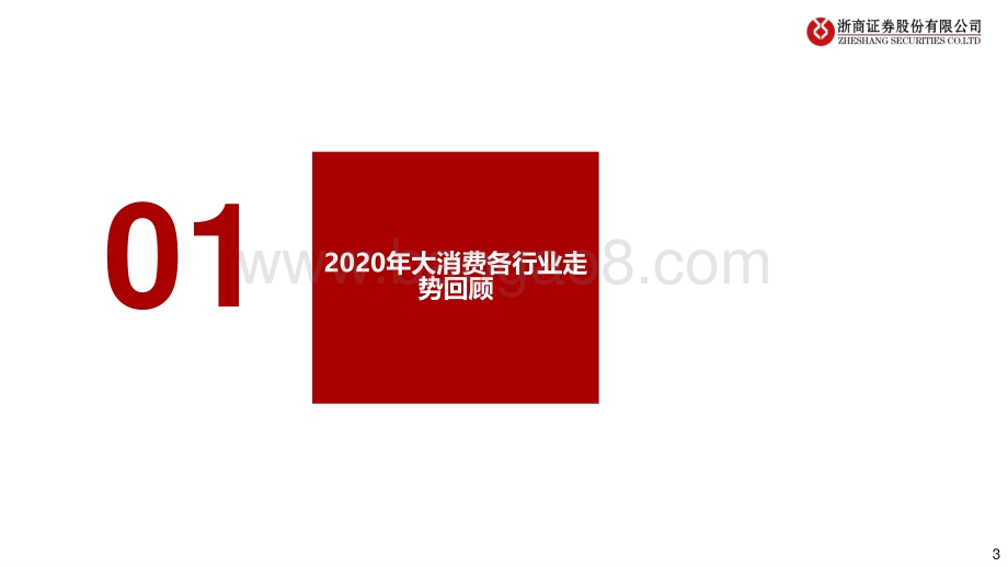 2021年大消费年度投资策略：看好21年可选消费龙头的投资机会.pdf_第3页