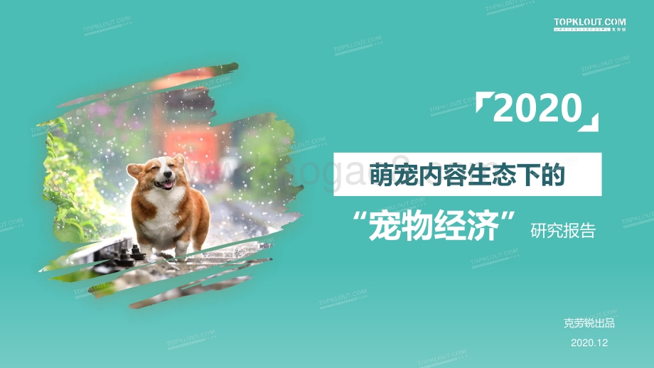 2020萌宠内容生态下的“宠物经济”研究报告.pdf_第1页
