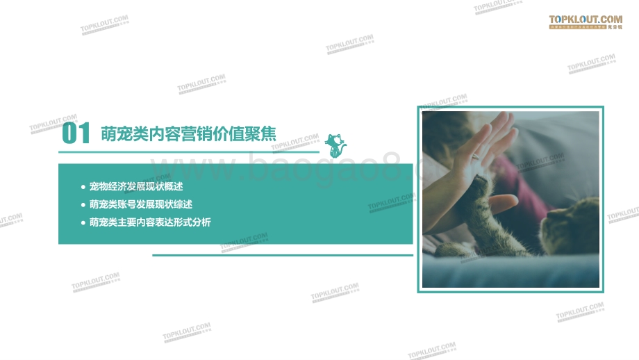 2020萌宠内容生态下的“宠物经济”研究报告.pdf_第4页