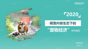 2020萌宠内容生态下的“宠物经济”研究报告.pdf