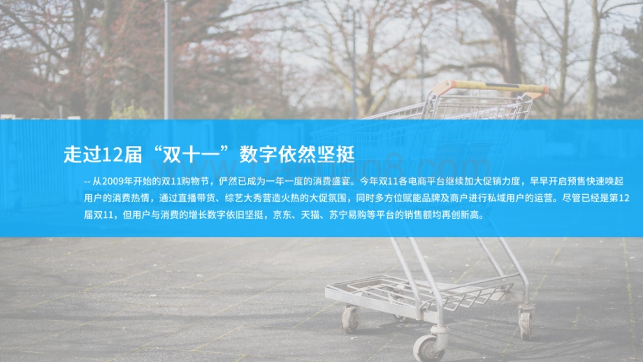 2020年双十一购物节盘点.pdf_第4页