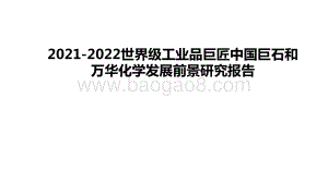 2021-2022世界级工业品巨匠中国巨石和万华化学发展前景研究报告.pptx