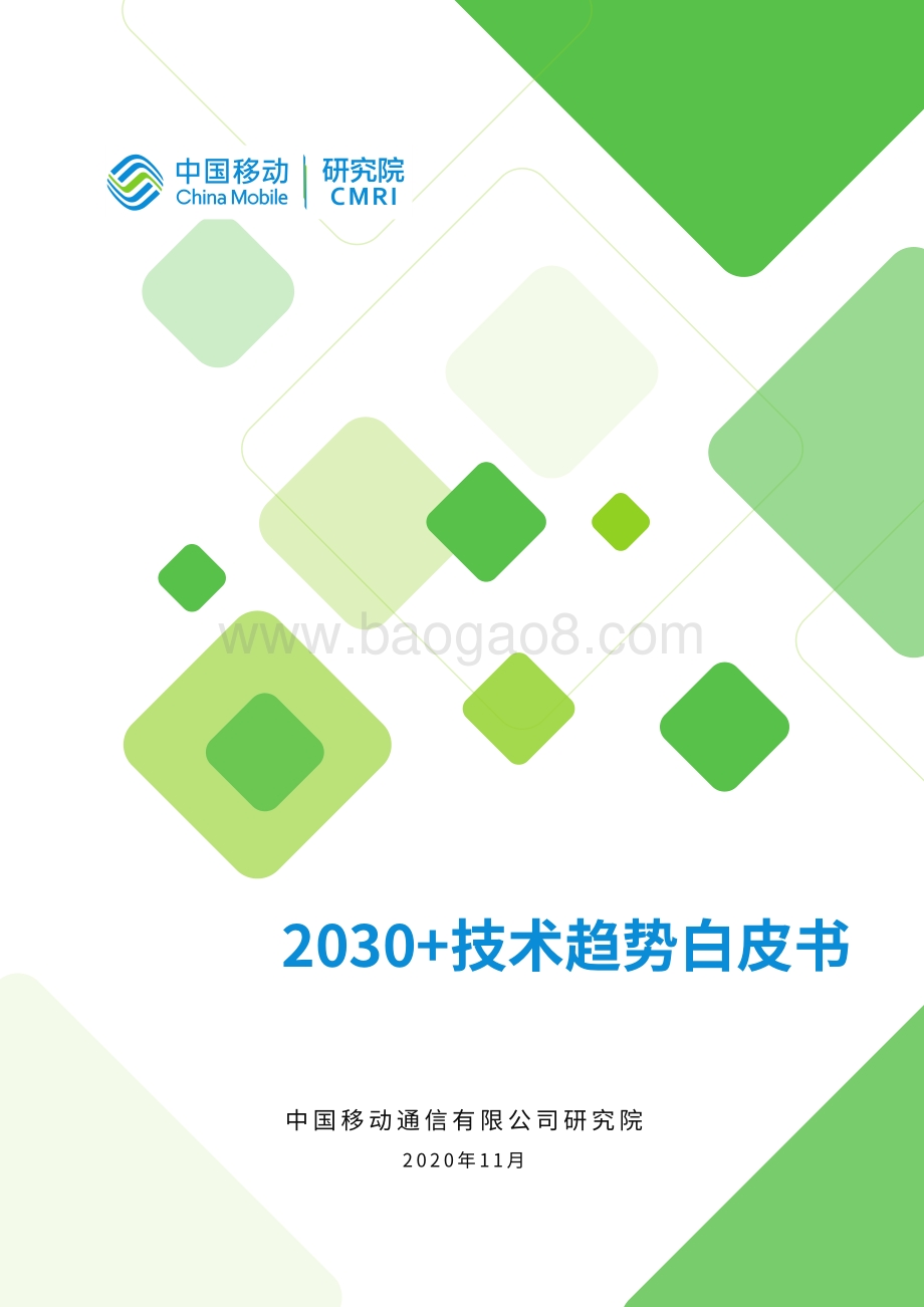 2030+技术趋势白皮书.pdf_第1页