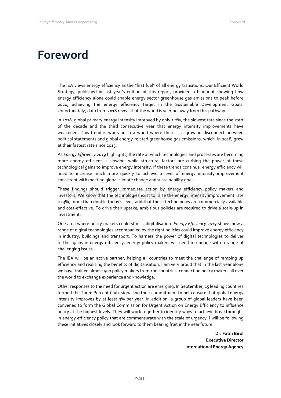 2019能源效率（英文版）.pdf_第4页