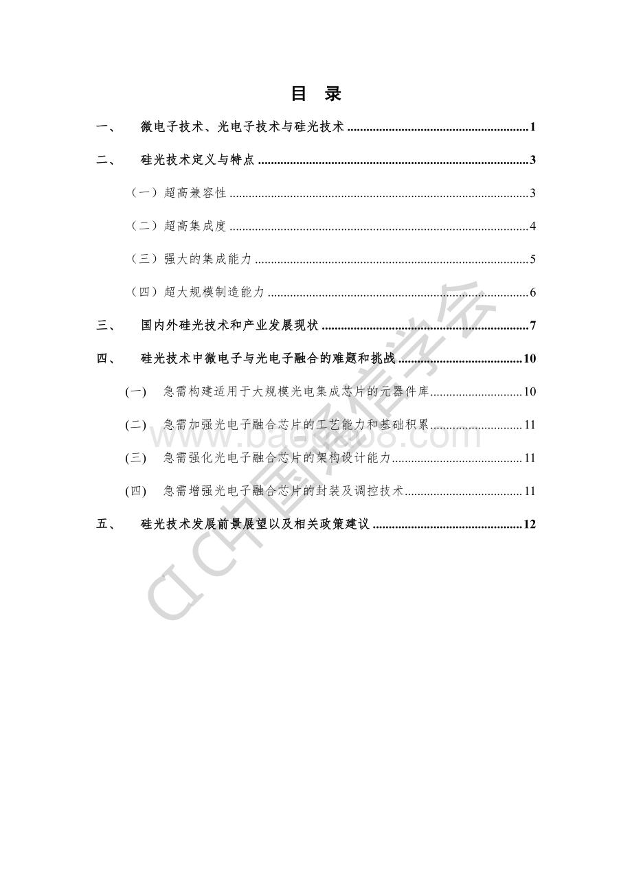 2020年硅基光电子集成技术前沿报告.pdf_第5页