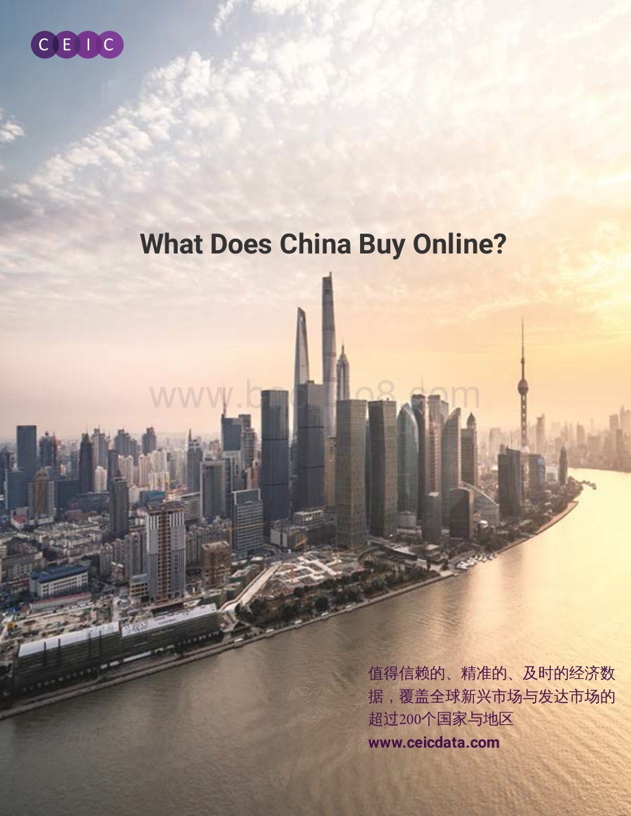 中国网购买什么？（英文版）.pdf_第1页
