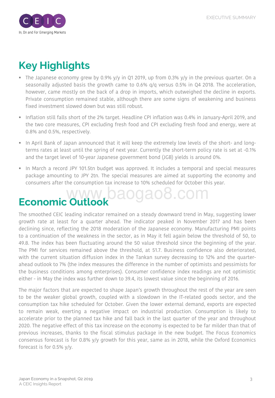 2019年第二季度日本经济概览（英文版）.pdf_第3页