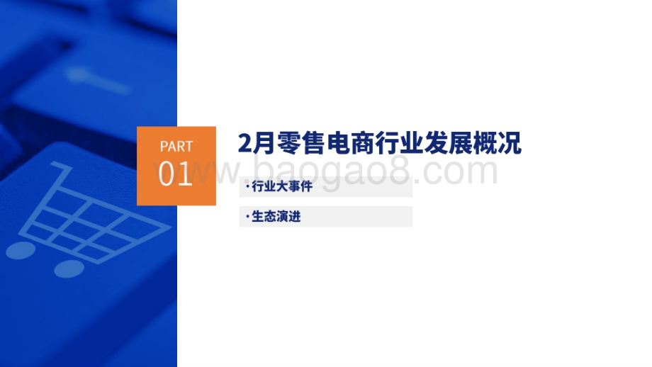 零售电商生态观察2021年2月刊.pdf_第3页