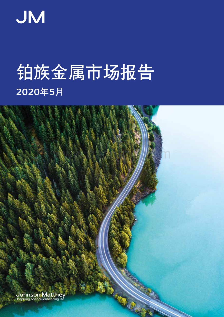 2020年5月铂族金属市场报告.pdf_第1页