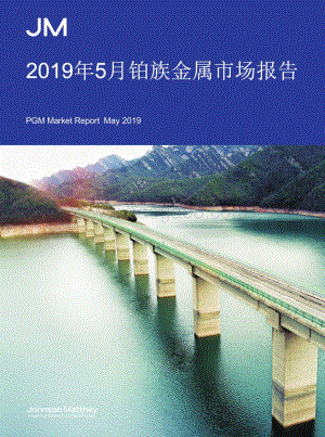 2019年5月铂族金属市场报告.pdf