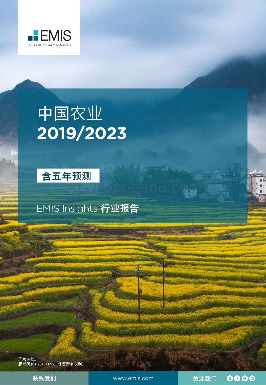 2019-2023中国农业行业报告.pdf_第1页