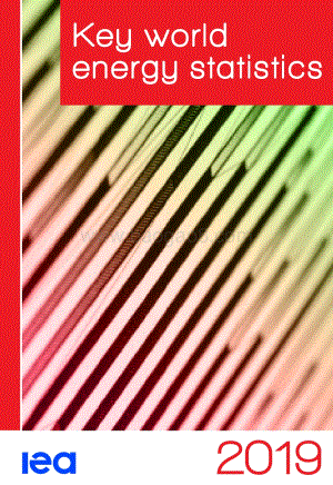 2019世界关键能源数据统计（英文版）.pdf