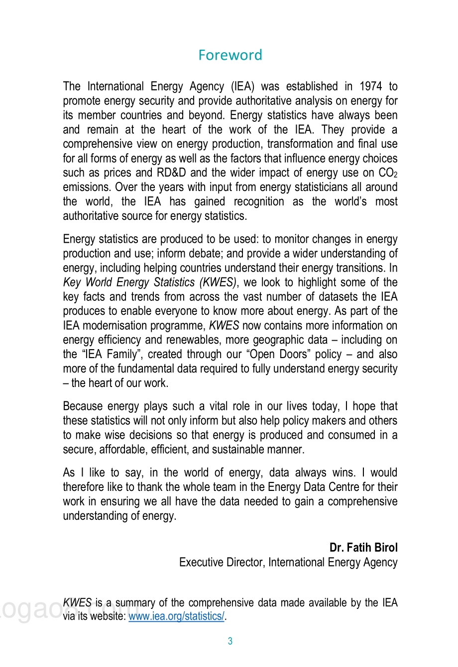 2019世界关键能源数据统计（英文版）.pdf_第4页