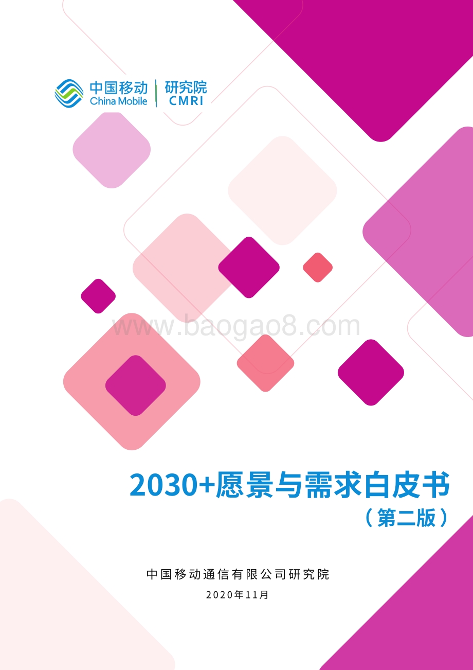 2030 愿景与需求白皮书（第二版）.pdf_第1页