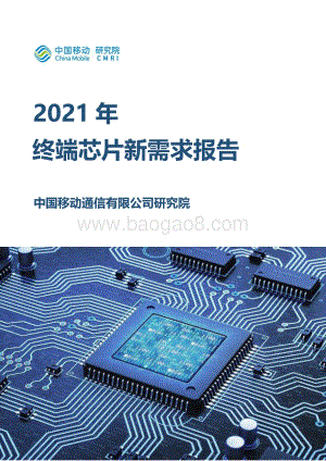 2021年终端芯片新需求报告.pdf