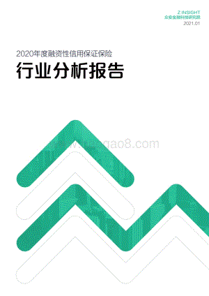 2020年度融资性信用保证保险行业分析报告.pdf