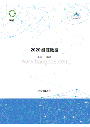 2020能源数据.pdf