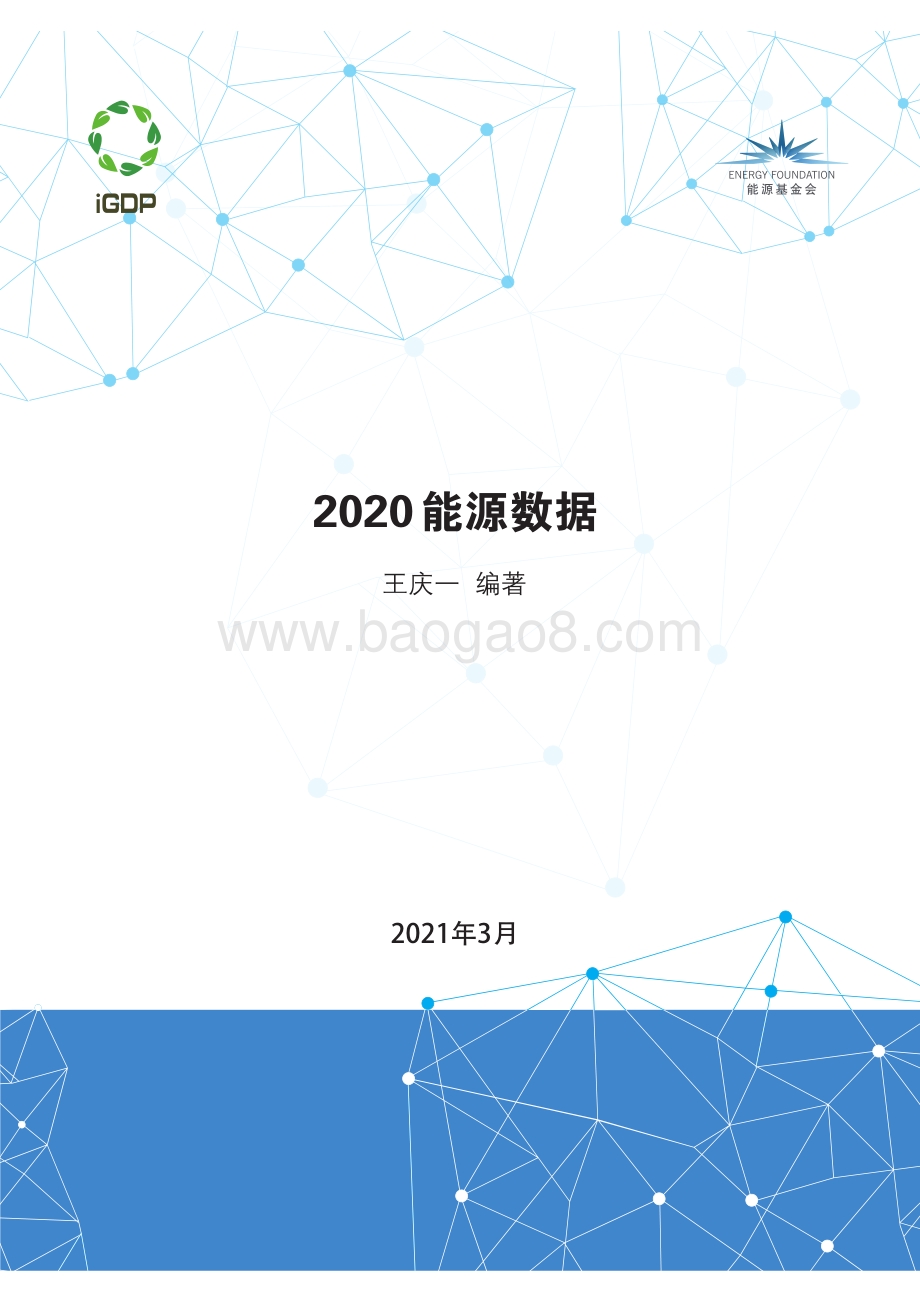 2020能源数据.pdf_第1页