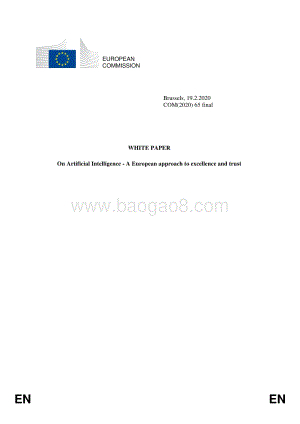 人工智能白皮书：通往卓越和信任的欧洲路径（英文版）.pdf