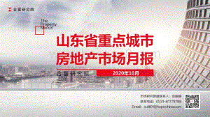 2020年10月山东省重点城市房地产市场月报.pdf