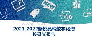 2021-2022新锐品牌数字化增长研究报告.pptx