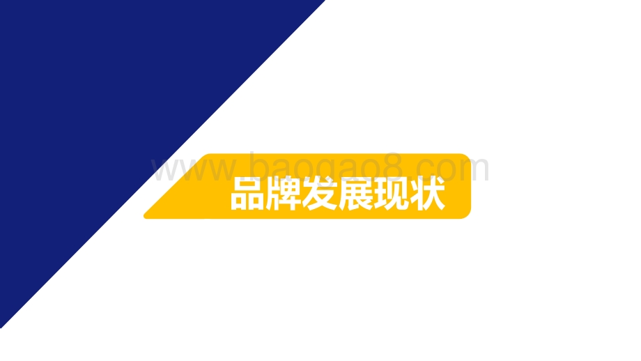 2021-2022中国新消费品牌发展洞察报告.pptx_第2页