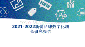 2021-2022新锐品牌数字化增长研究报告.pdf