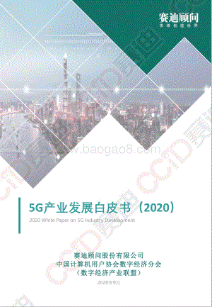 2020 5G产业发展白皮书.pdf