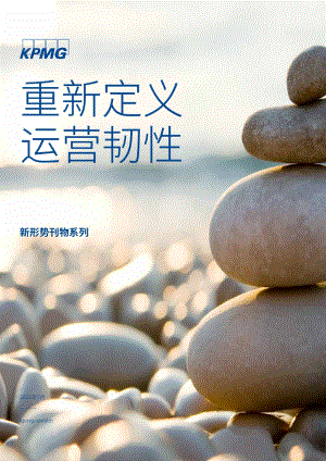 重新定义运营韧性.pdf