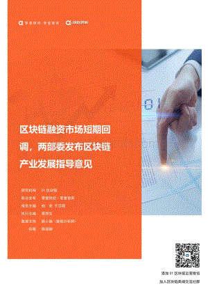 2021年6月全球区块链产业发展月报.pdf