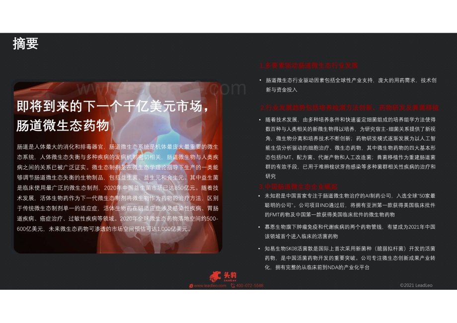 2021年生物医药系列：肠道微生态制剂市场现状与发展前景.pdf_第2页