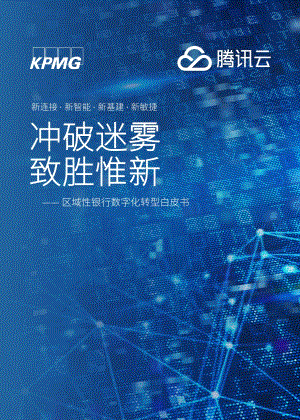 区域性银行数字化转型白皮书.pdf