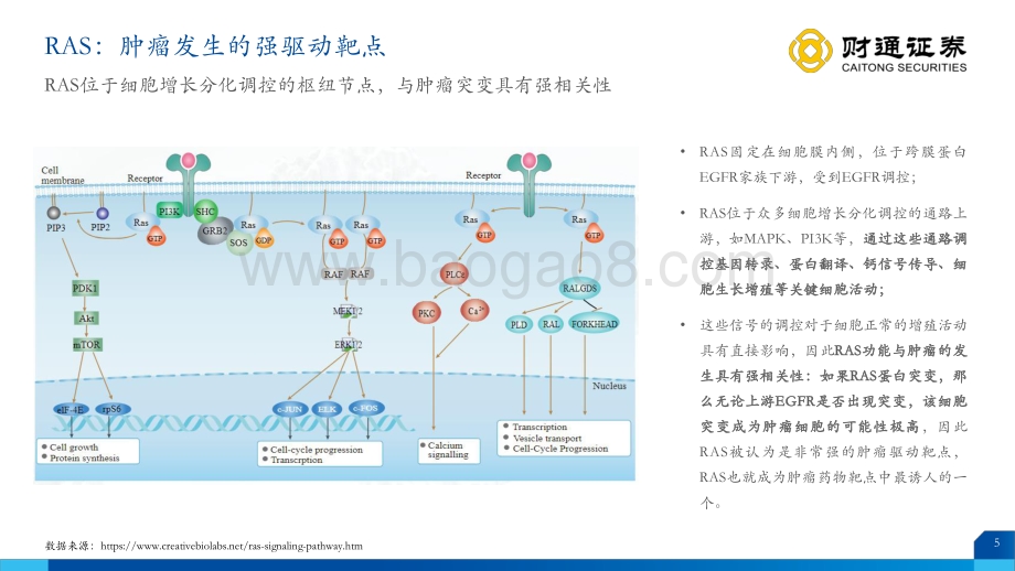 KRAS行业深度报告（上）：云深方知归处.pdf_第5页