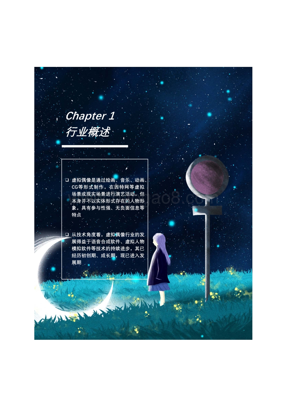 Z时代系列报告（三）：元宇宙来临虚拟偶像能否抢占先机？.pdf_第5页