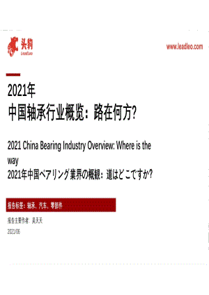 2021年中国轴承行业概览：路在何方？.pdf