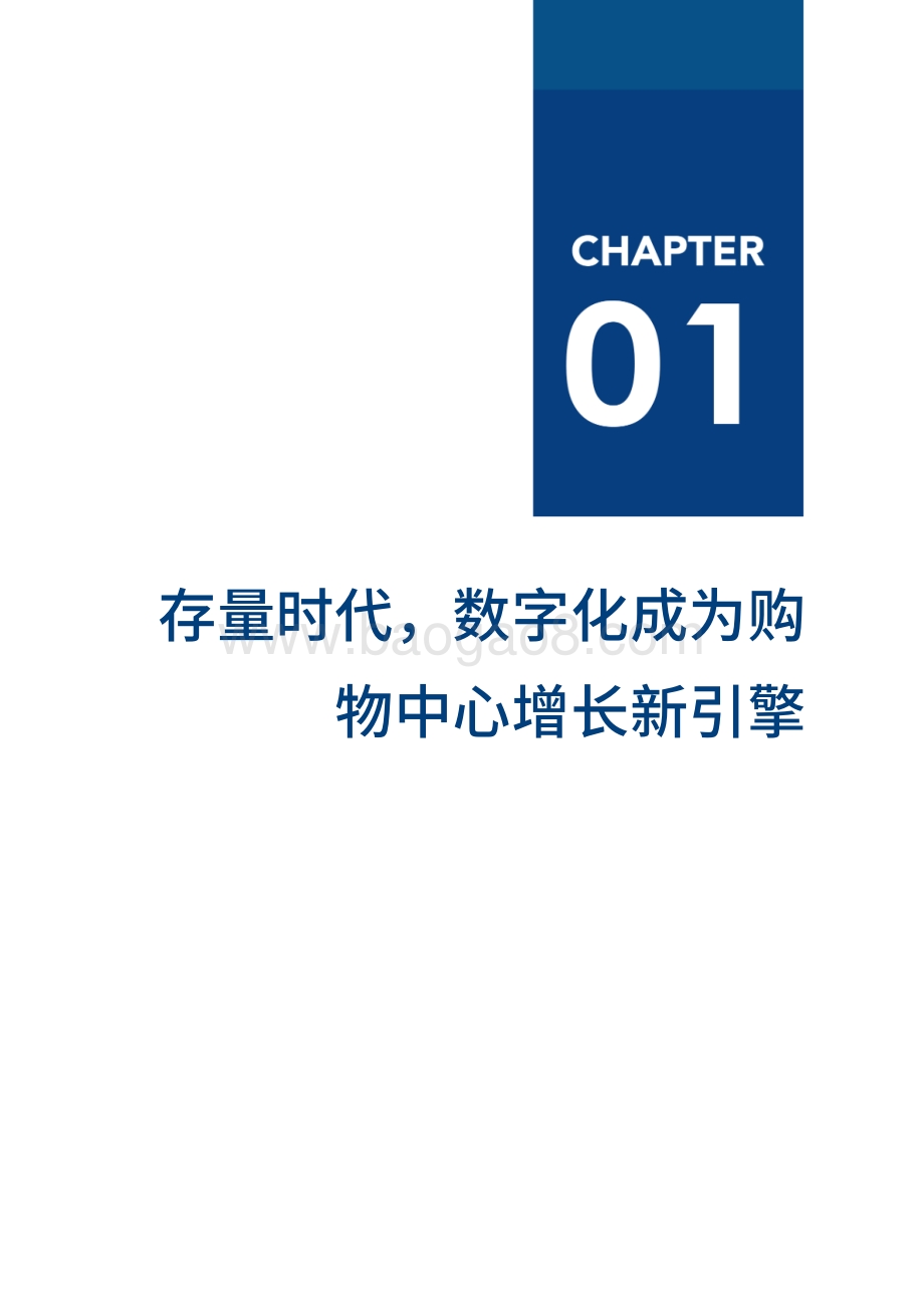 中国购物中心数字化厂商全景报告.pdf_第5页